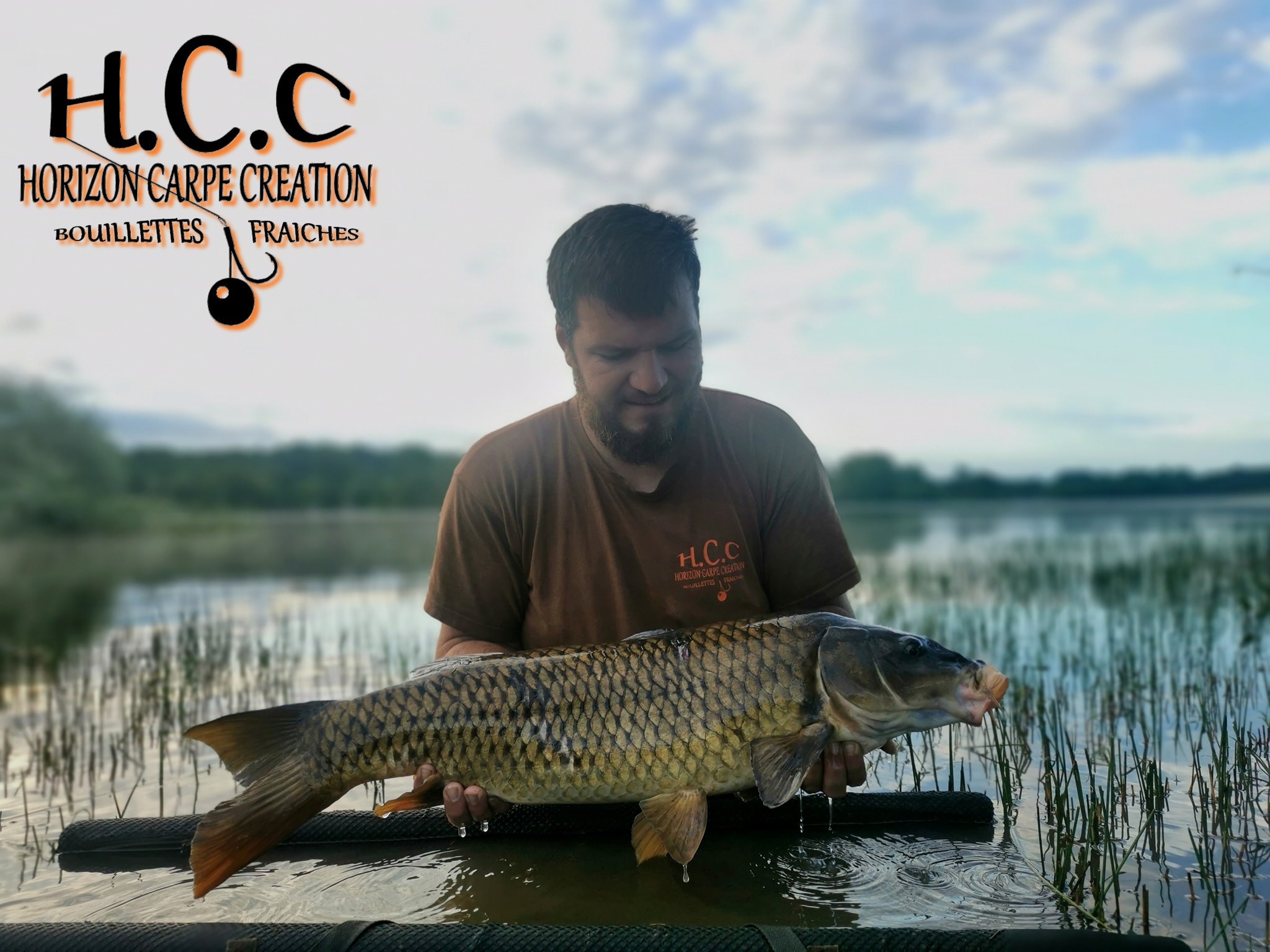 MICKAEL LAURENT - TESTEUR HCC