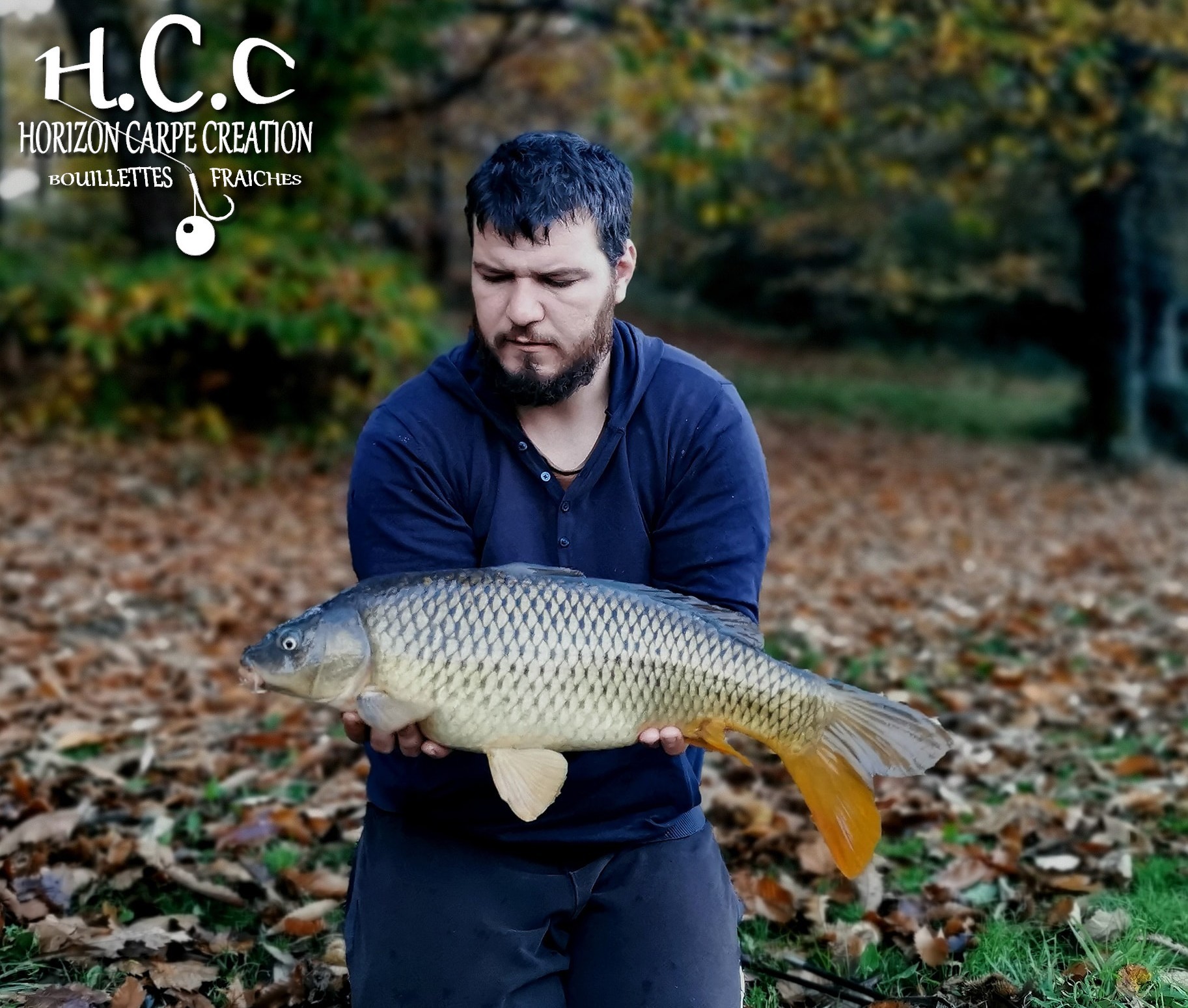 MICKAEL LAURENT - TESTEUR HCC