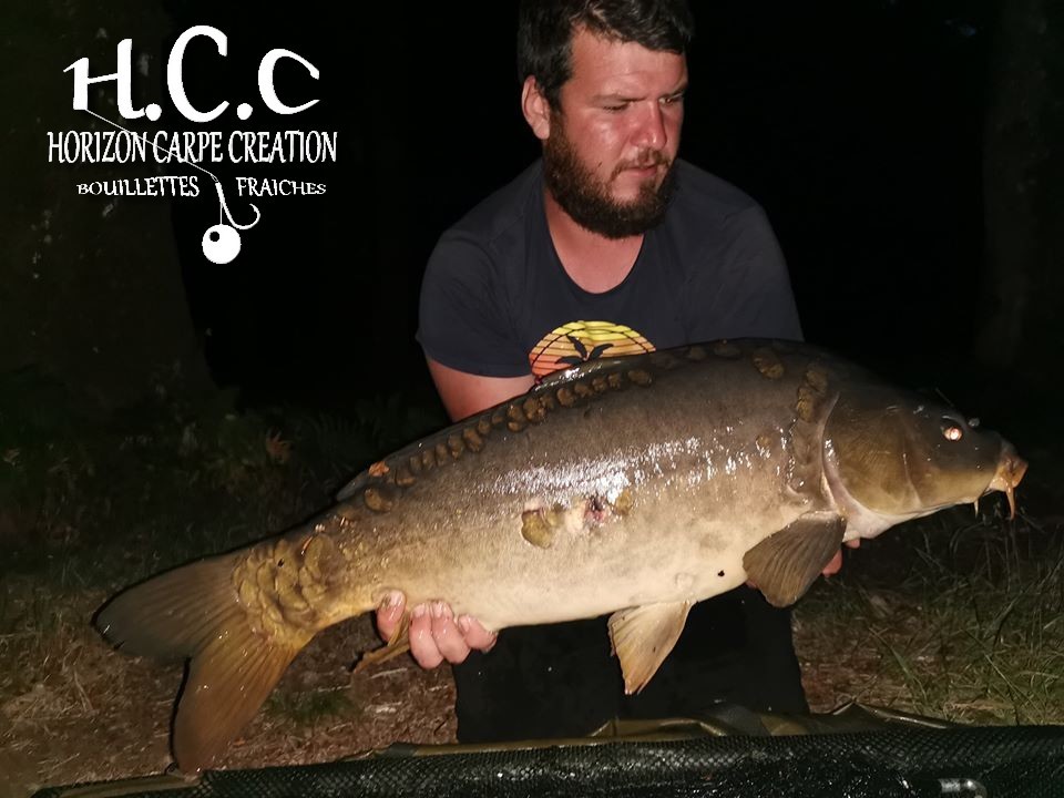 MICKAEL LAURENT - TESTEUR HCC
