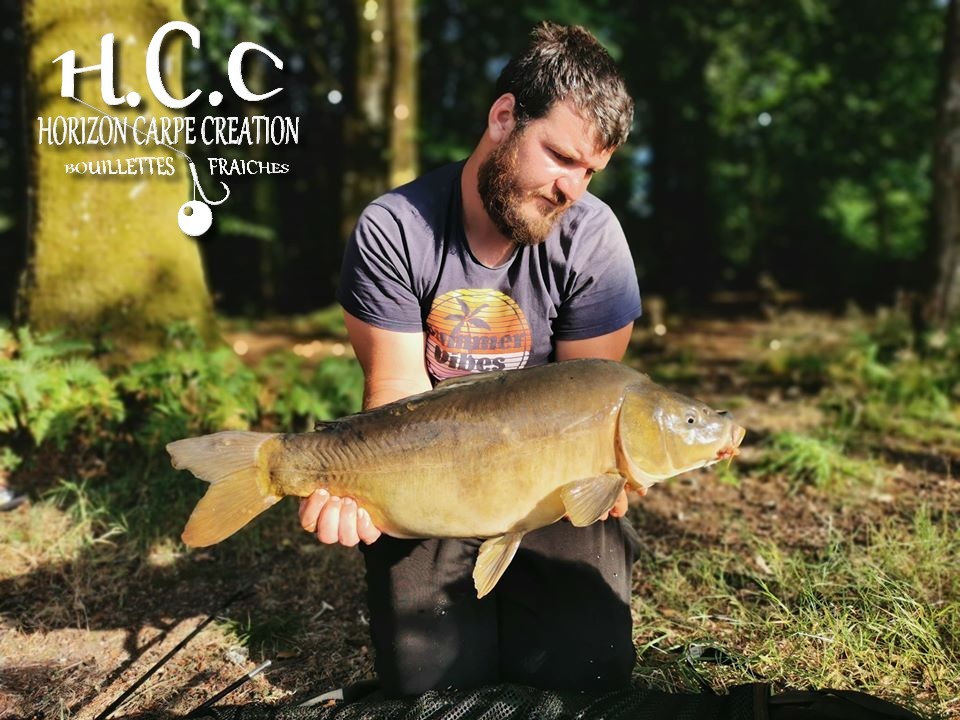 MICKAEL LAURENT - TESTEUR HCC