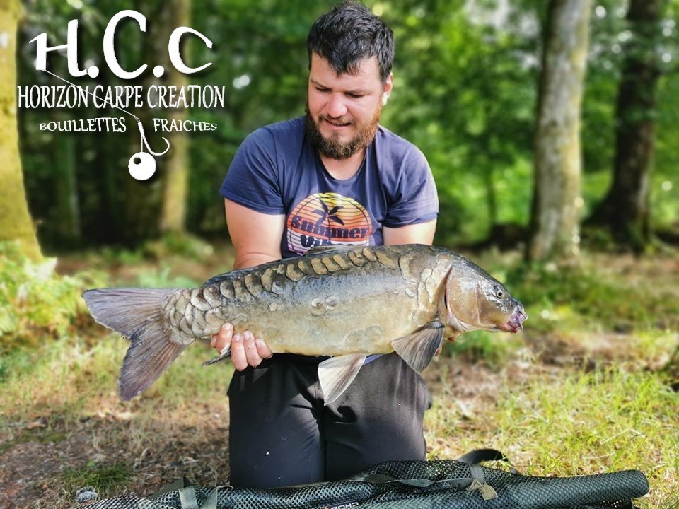 MICKAEL LAURENT - TESTEUR HCC