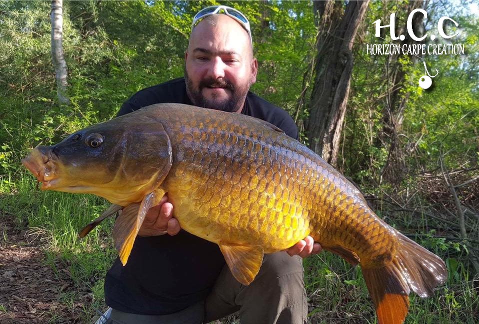 MICKAEL GAERTNER - TESTEUR HCC