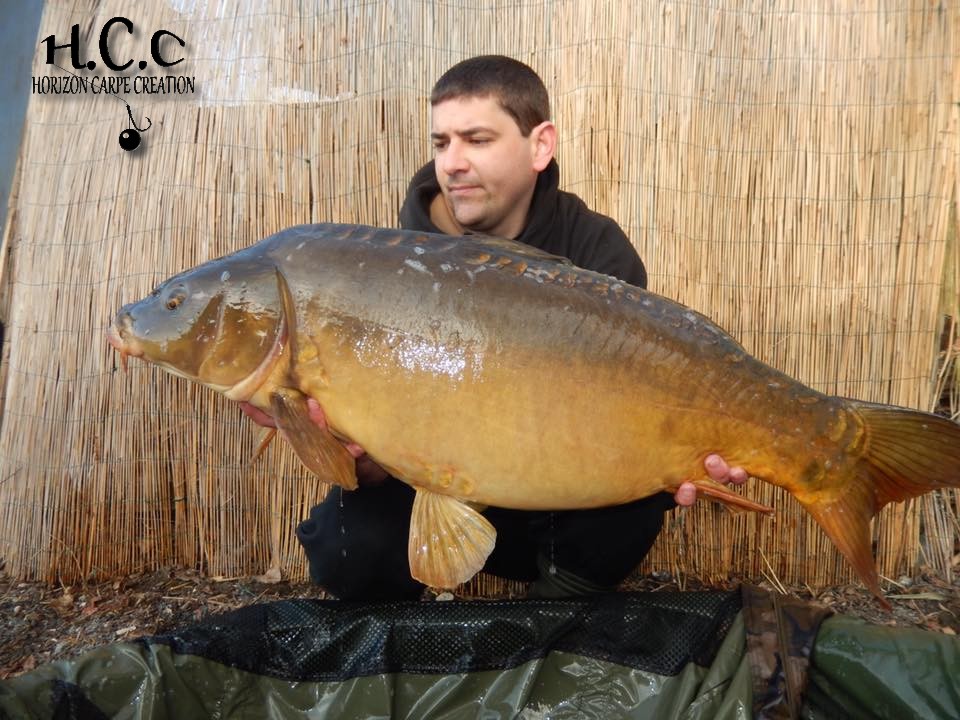MICKAEL MACON - TESTEUR HCC
