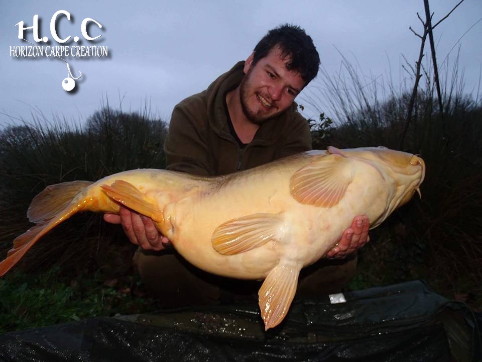MICKAEL LAURENT - TESTEUR HCC