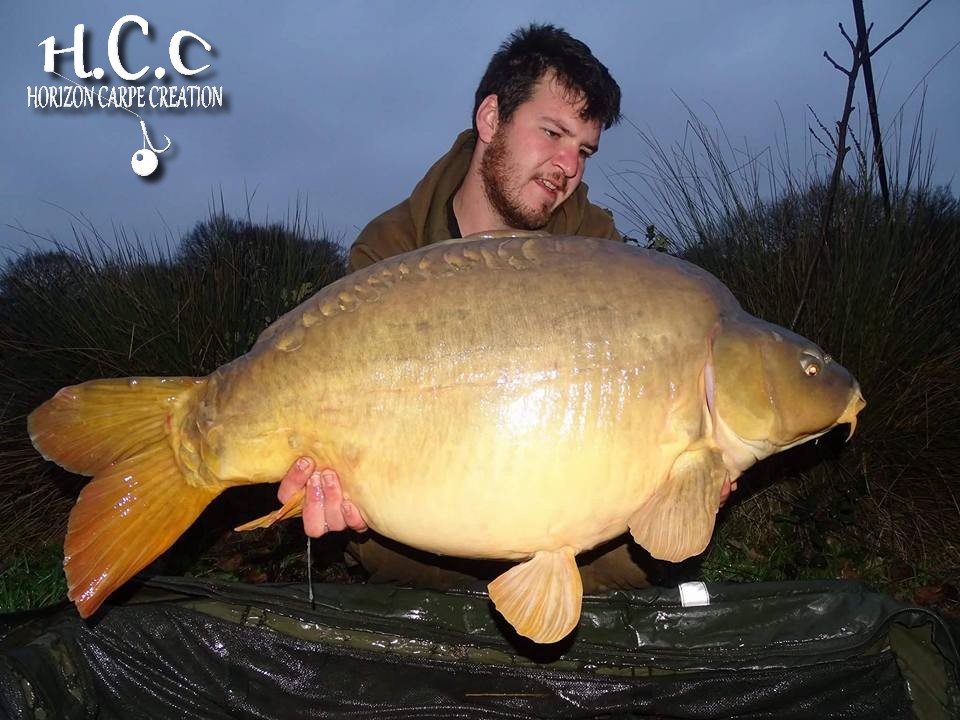 MICKAEL LAURENT - TESTEUR HCC