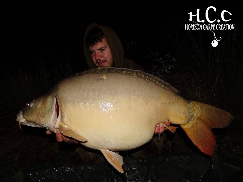 MICKAEL LAURENT - TESTEUR HCC