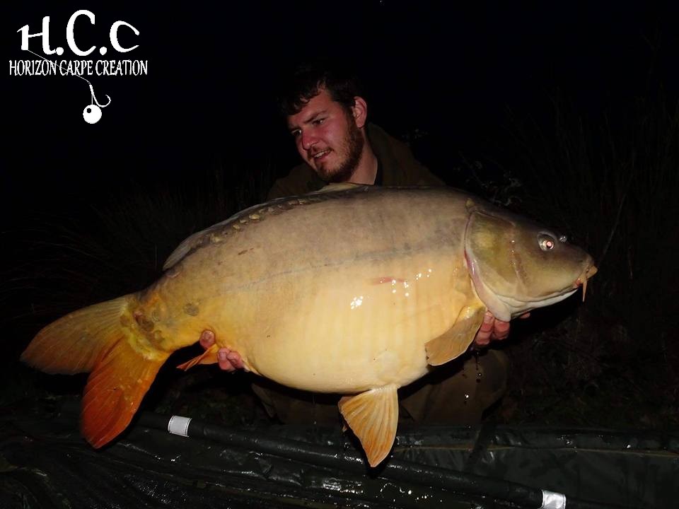 MICKAEL LAURENT - TESTEUR HCC