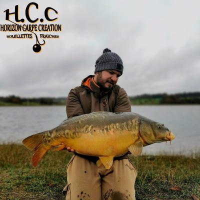 MICHAEL LAURENT - TESTEUR HCC