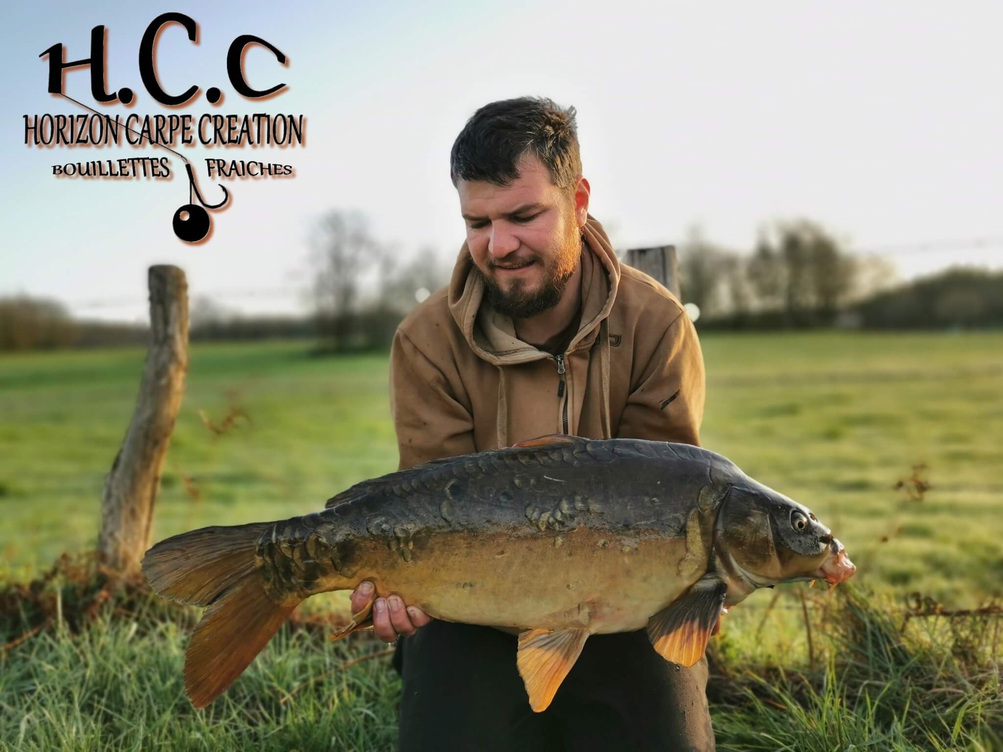 MICKAEL LAURENT - TESTEUR HCC