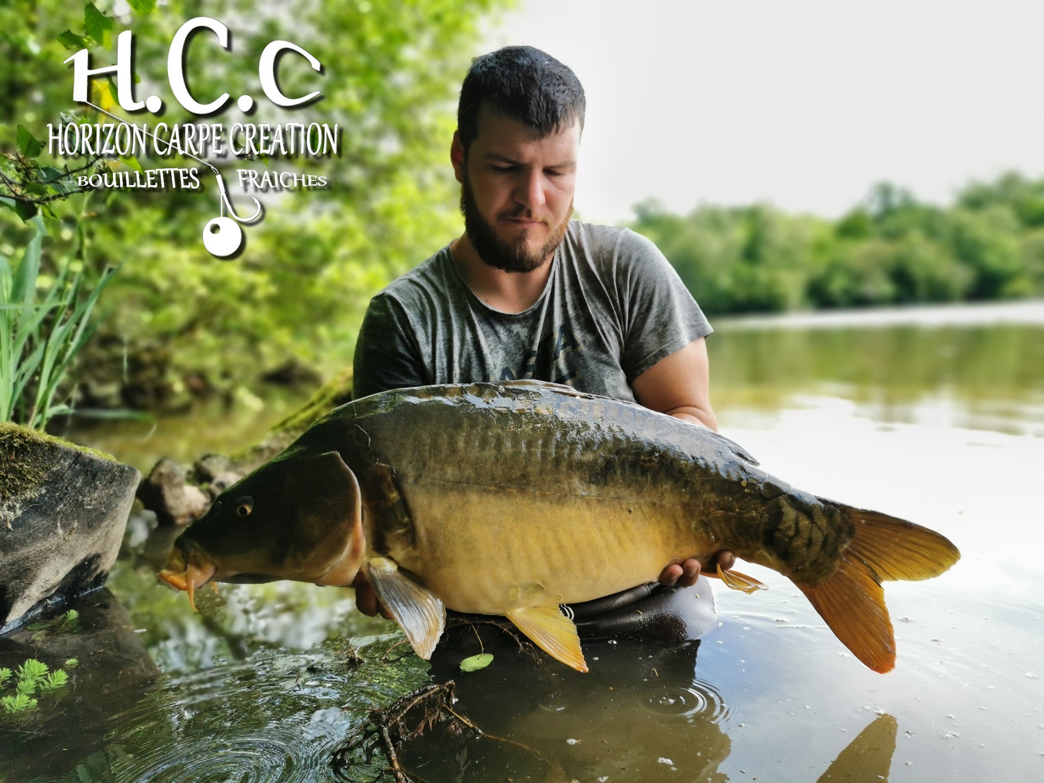  MICKAEL LAURENT - TESTEUR HCC