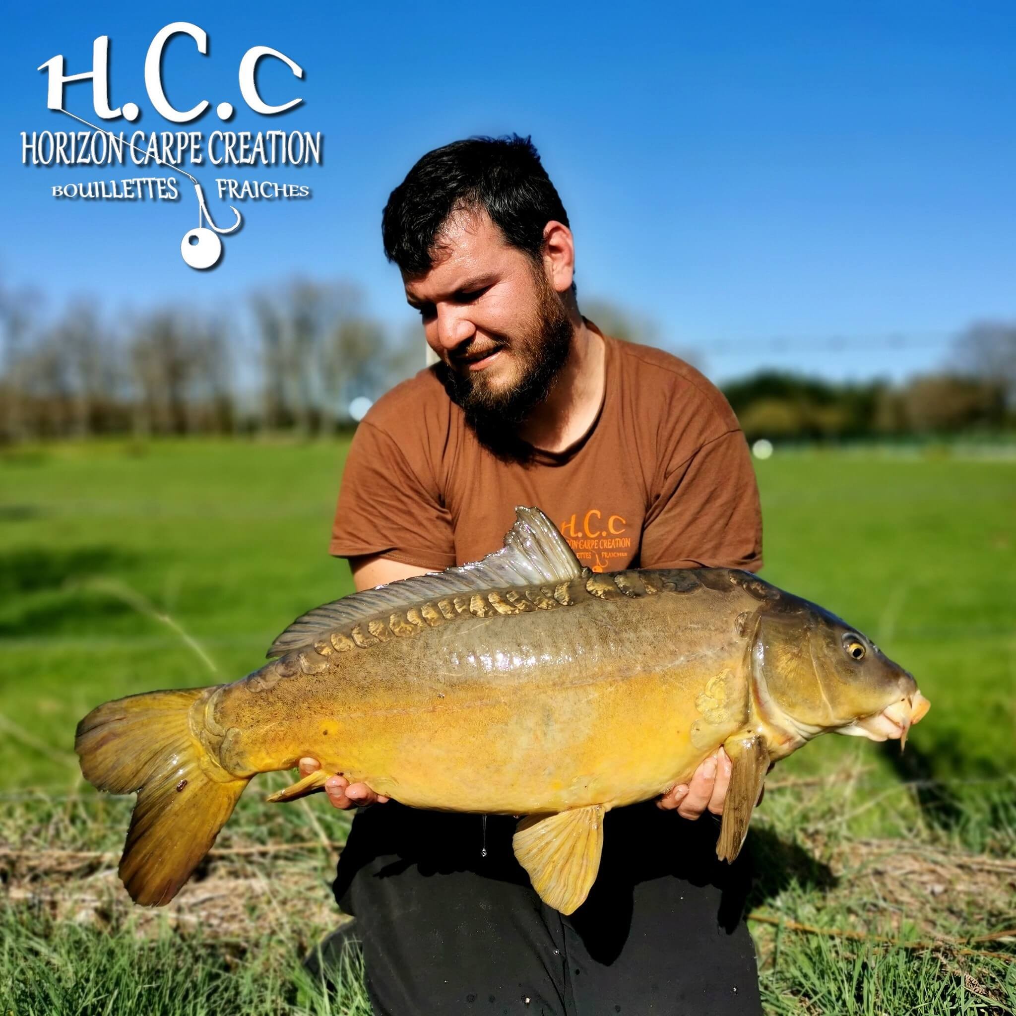 MICKAEL LAURENT - TESTEUR HCC