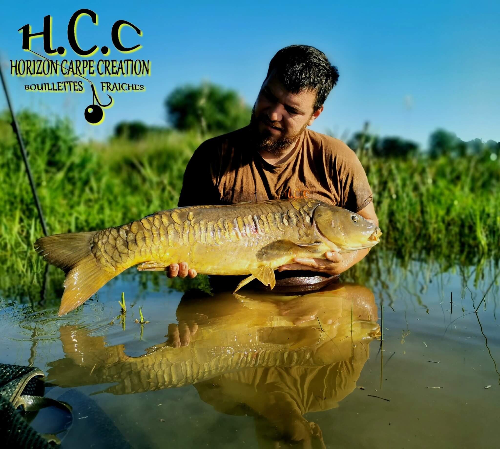 MICKAEL LAURENT - TESTEUR HCC