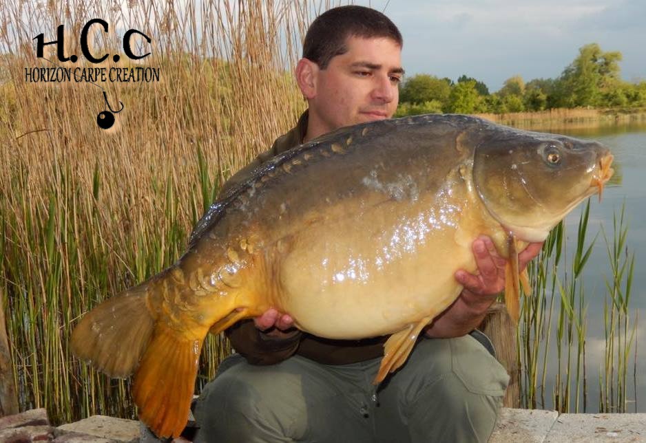 MICKAEL MACON - TESTEUR HCC