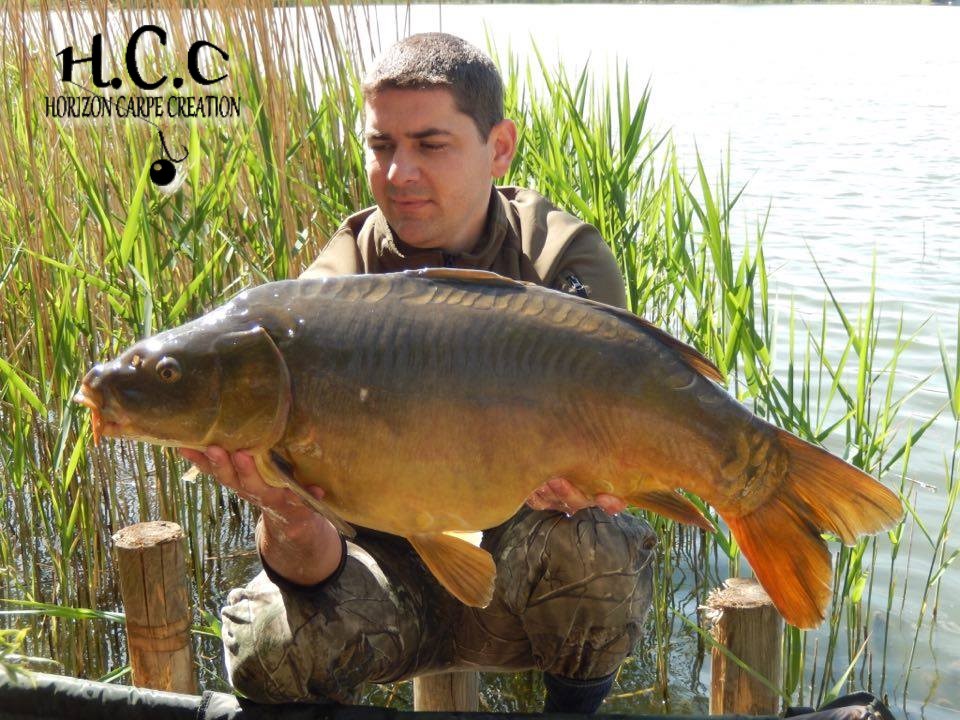MICKAEL MACON - TESTEUR HCC