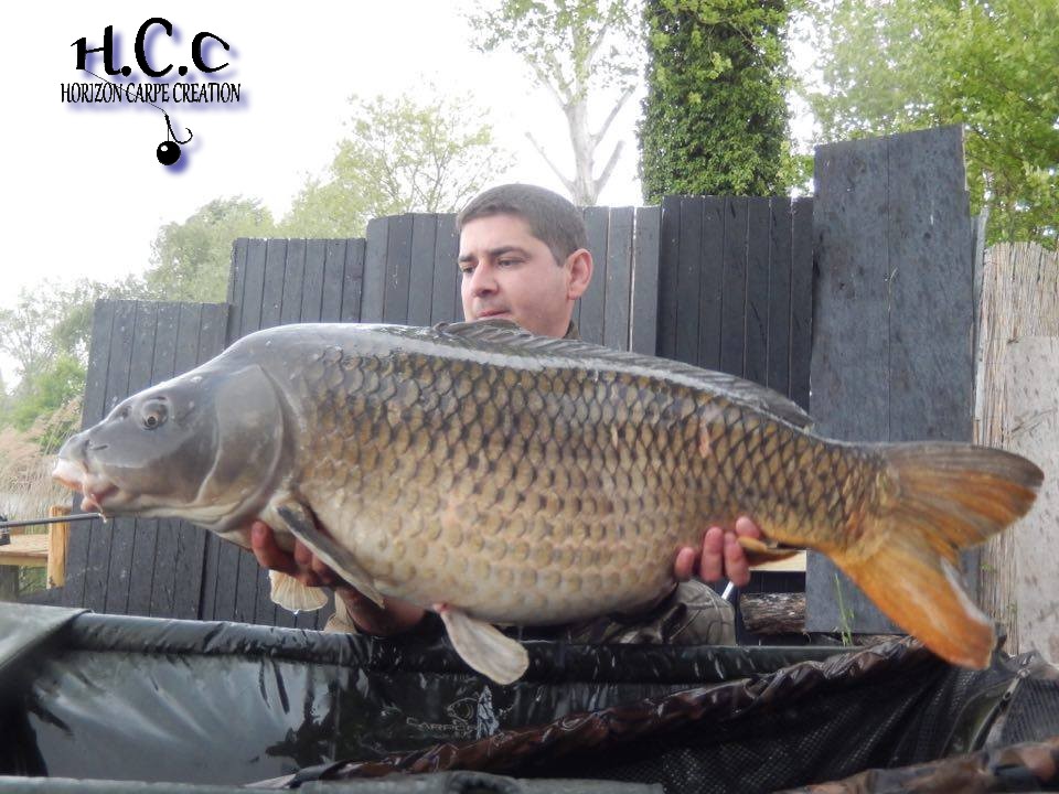 MICKAEL MACON - TESTEUR HCC