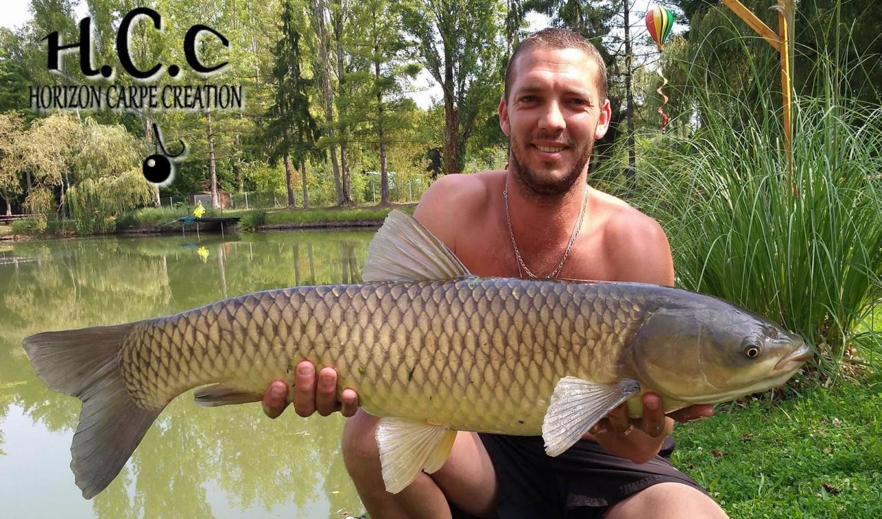 MICKAEL - CLIENT HCC