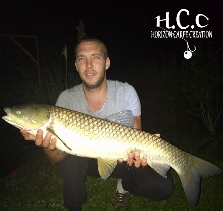 MICKAEL - CLIENT HCC