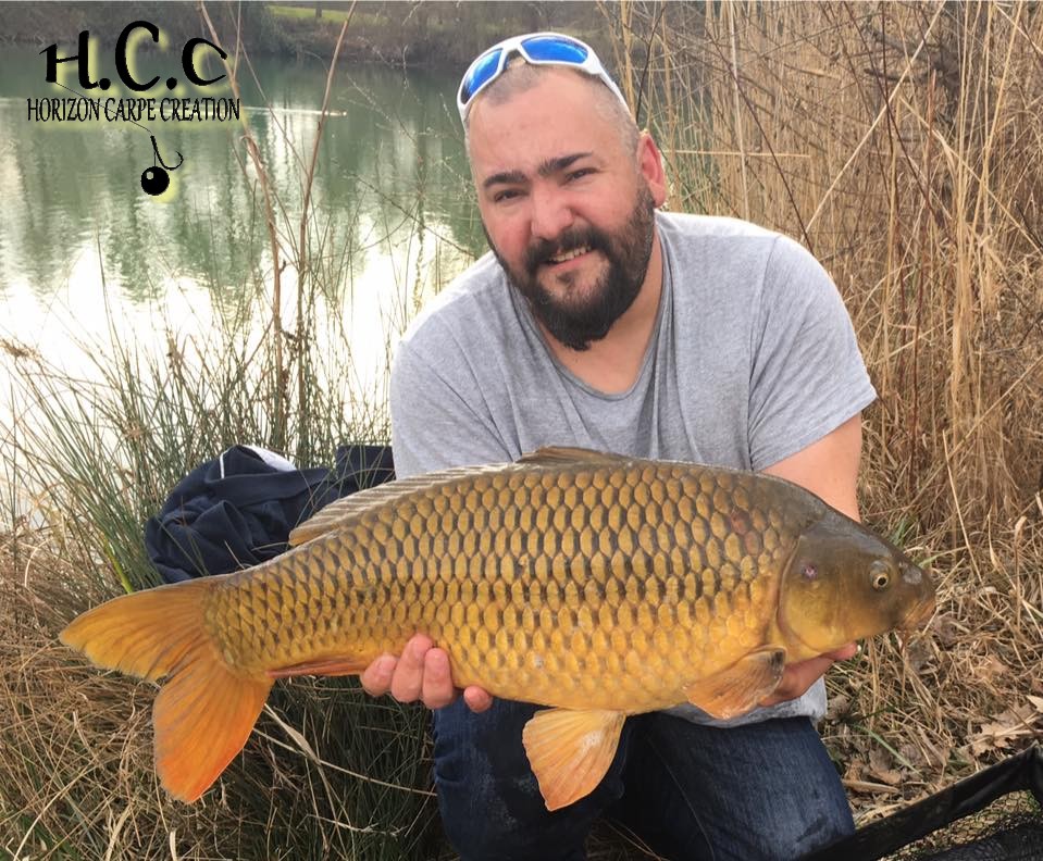 MICKAEL GAERTNER - TESTEUR HCC