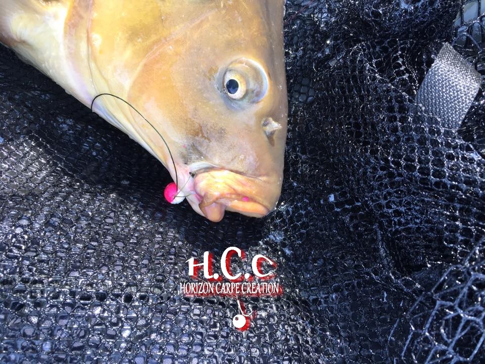 MICKAEL GAERTNER - TESTEUR HCC