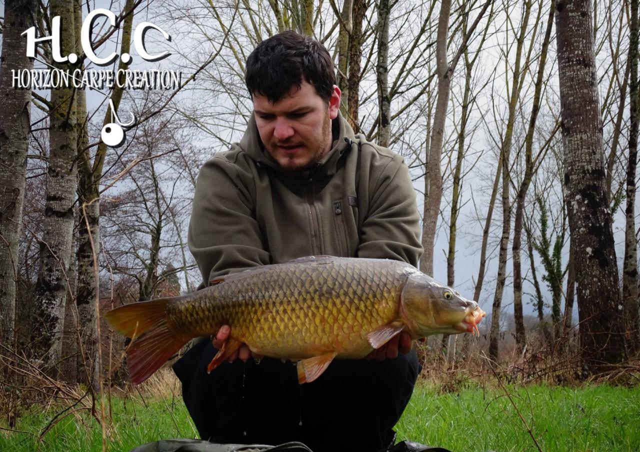 MICHAEL LAURENT - TESTEUR HCC