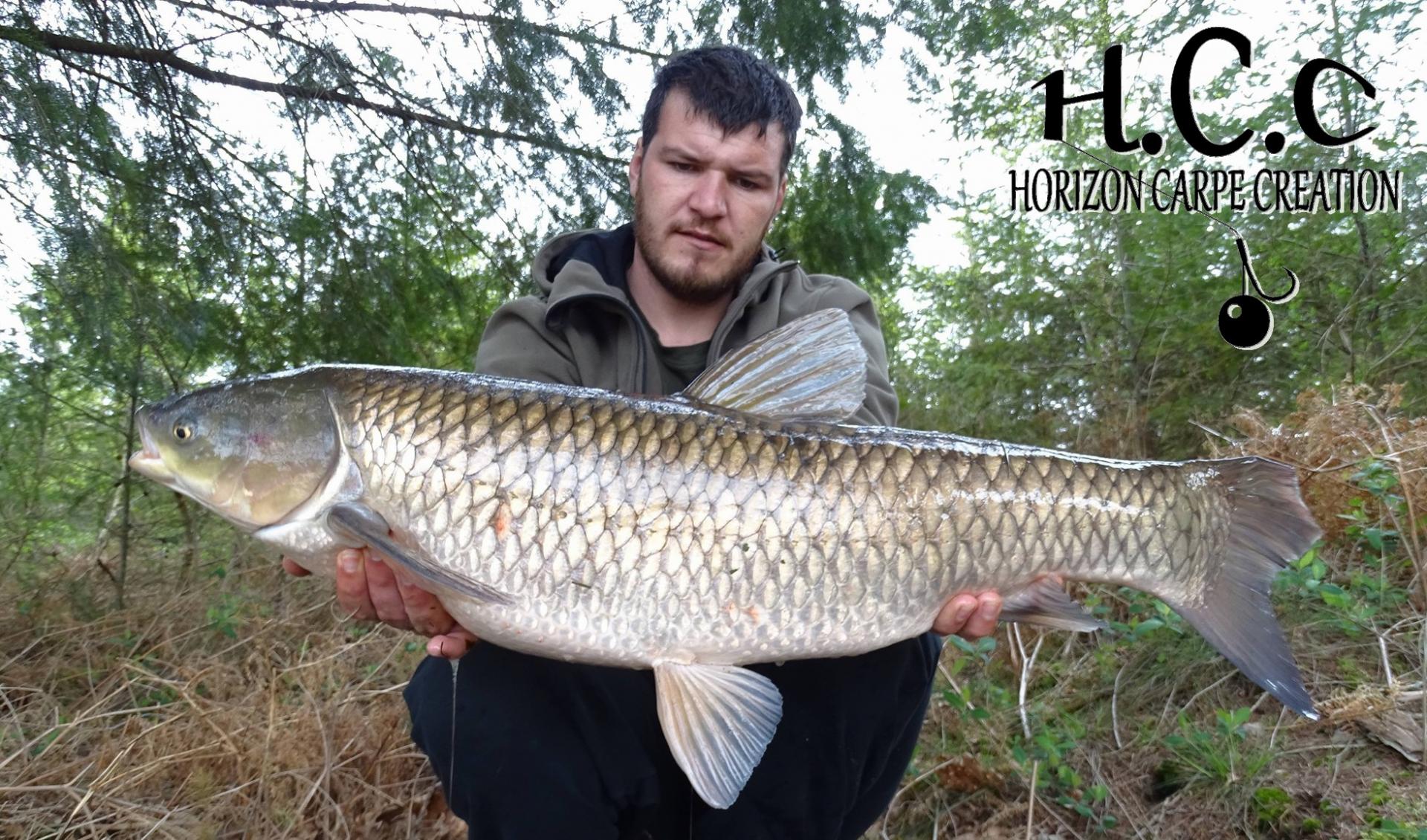 MICKAEL LAURENT  - TESTEUR HCC