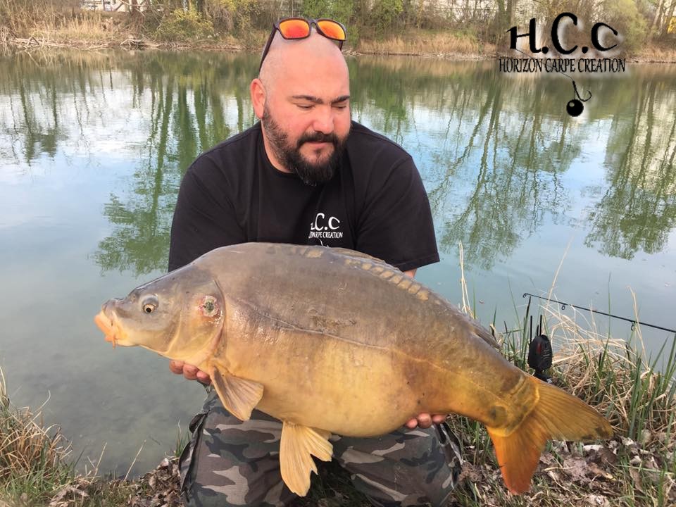 MICKAEL GAERTNER - TESTEUR HCC