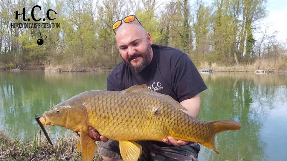 MICKAEL GAERTNER - TESTEUR HCC