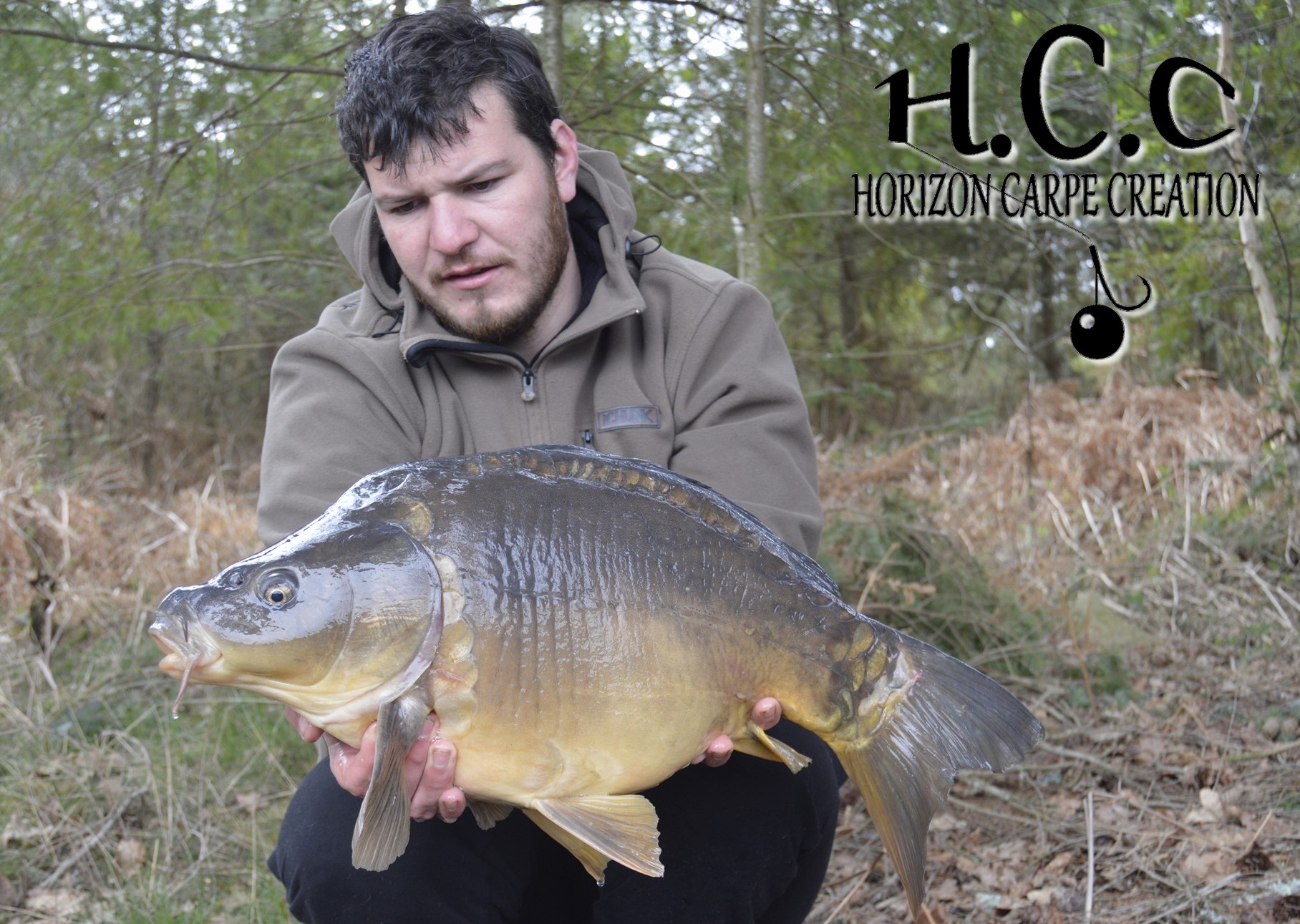 MICKAEL LAURENT - TESTEUR HCC