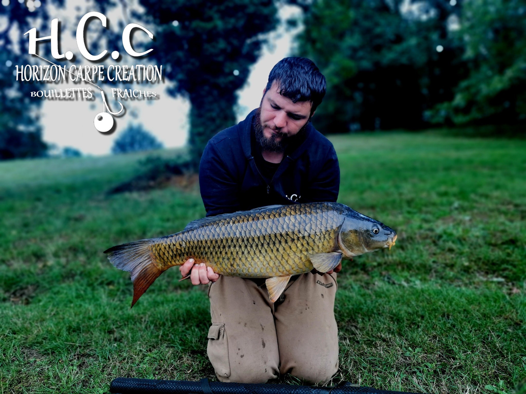 MICKAËL LAURENT - TESTEUR HCC
