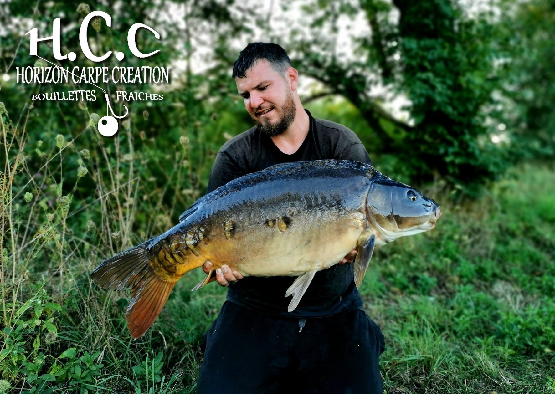 MICKAEL LAURENT - TESTEUR HCC