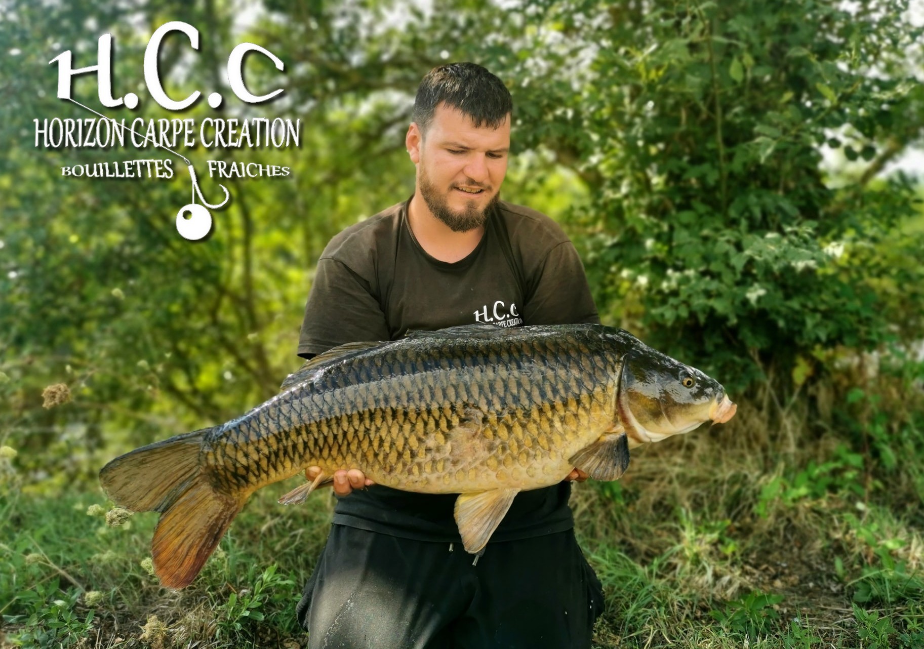 MICKAEL LAURENT - TESTEUR HCC
