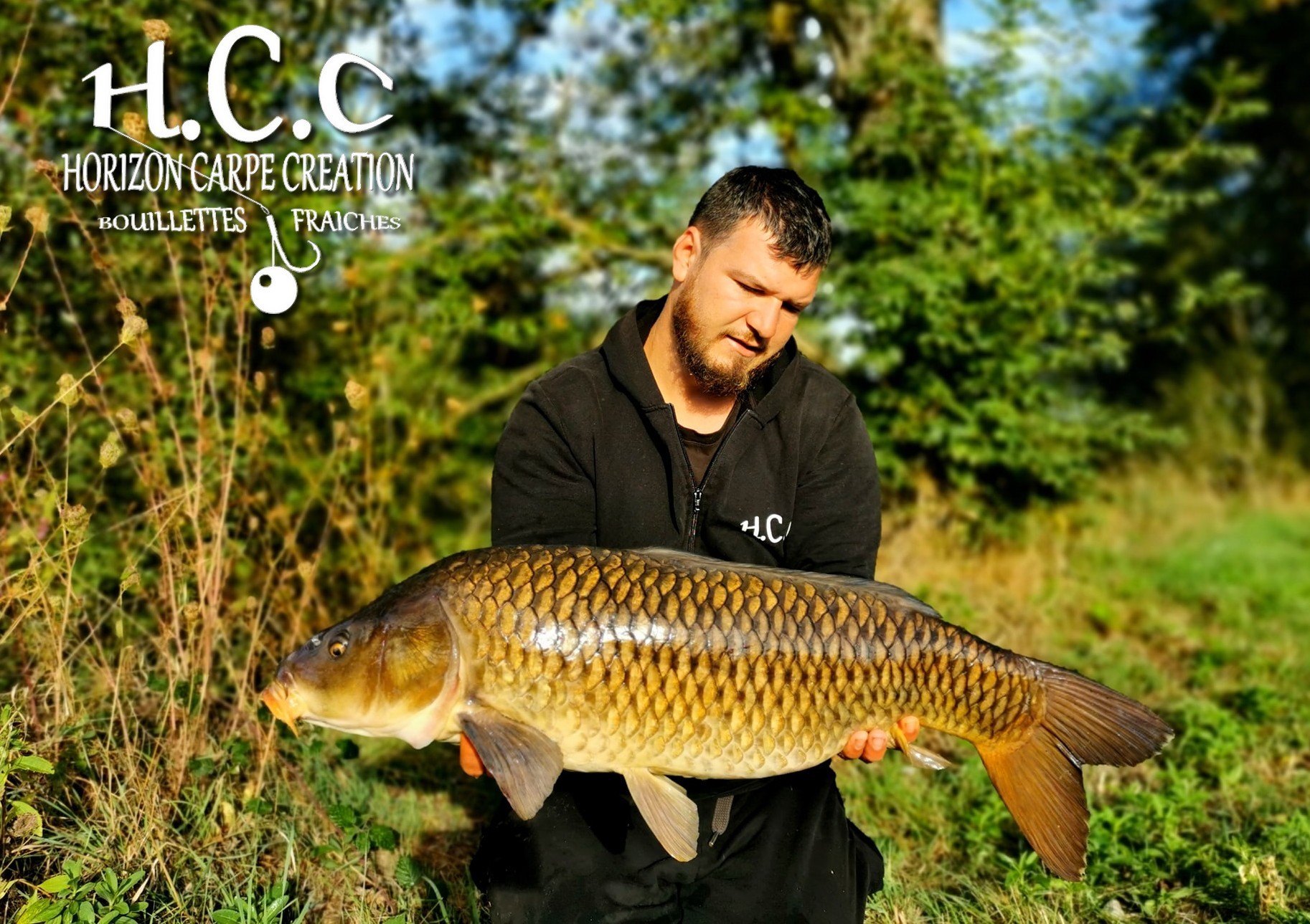 MICKAEL LAURENT - TESTEUR HCC