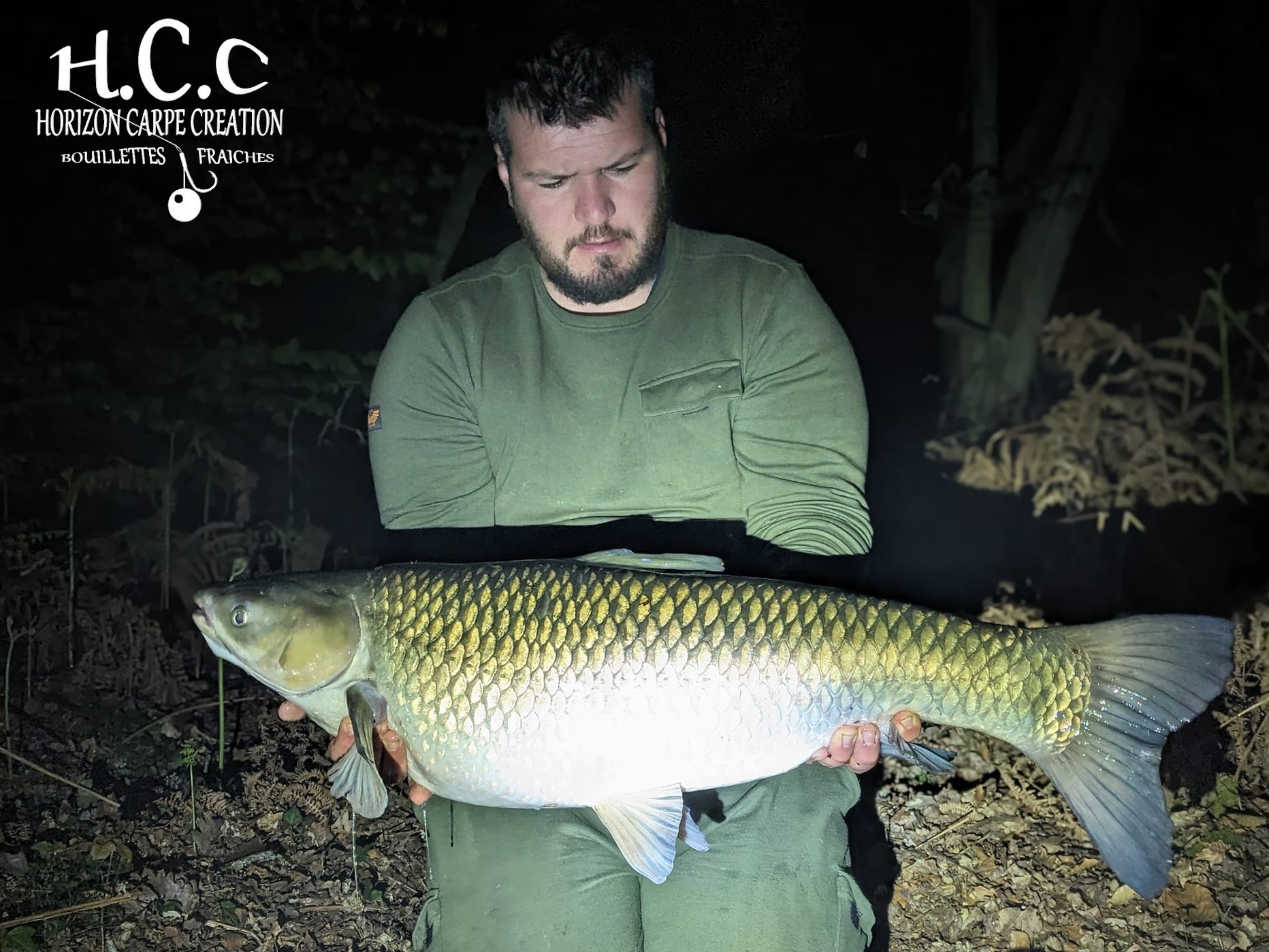 MICKAEL LAURENT - TESTEUR HCC