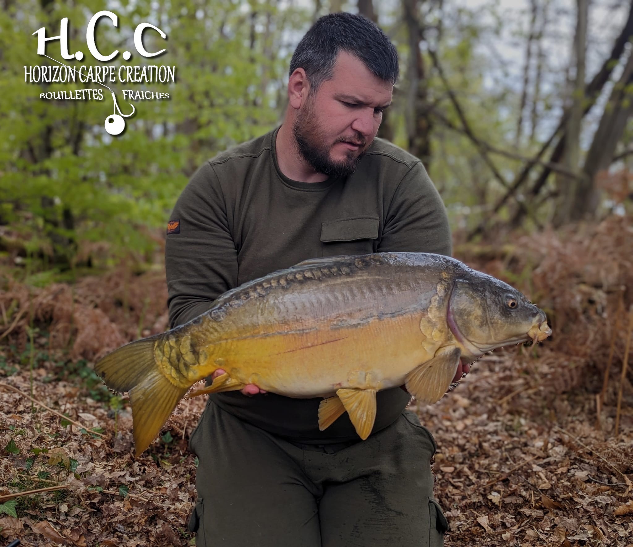 MICKAEL LAURENT - TESTEUR HCC
