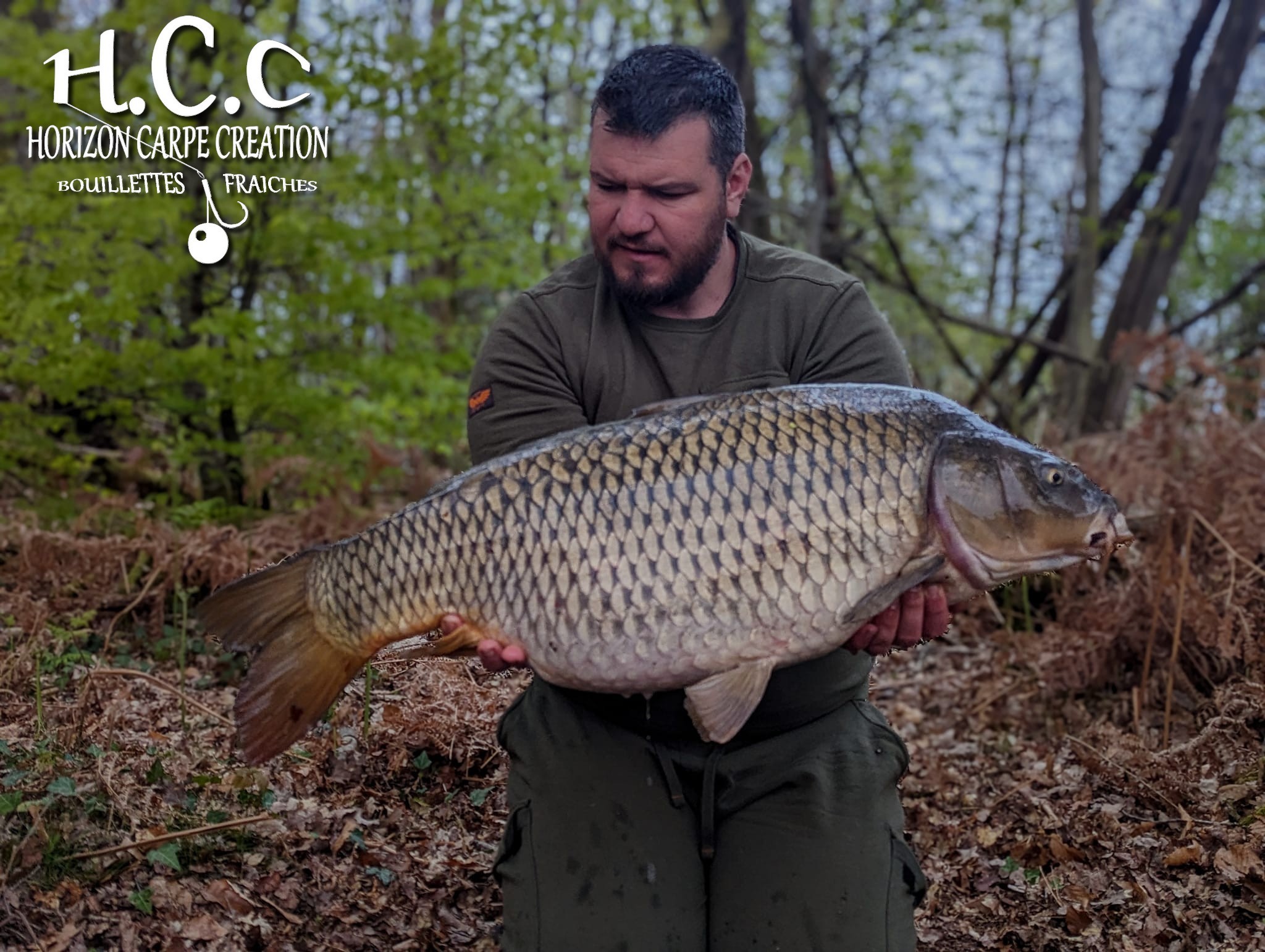 MICKAEL LAURENT - TESTEUR HCC