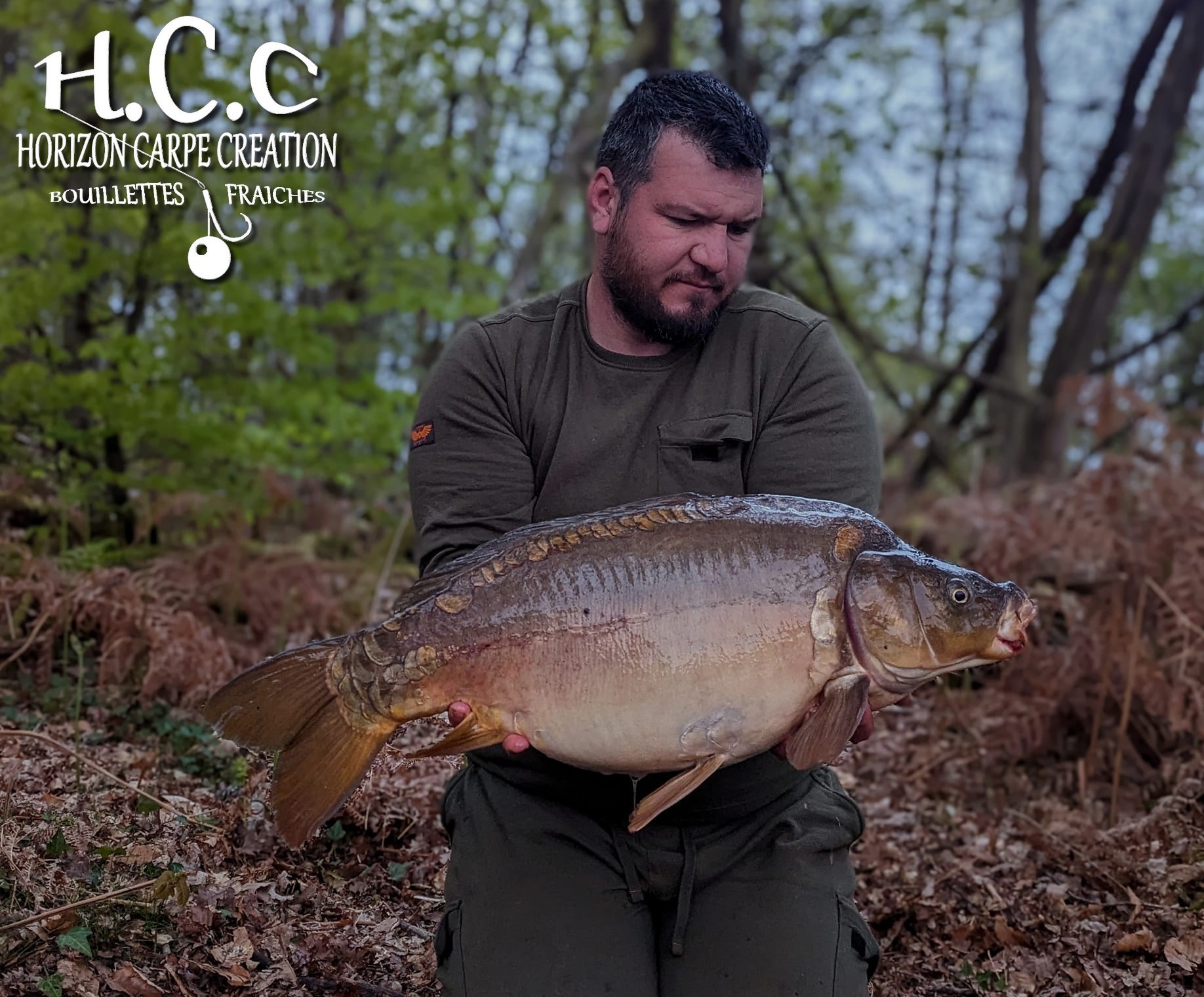 MICKAEL LAURENT - TESTEUR HCC