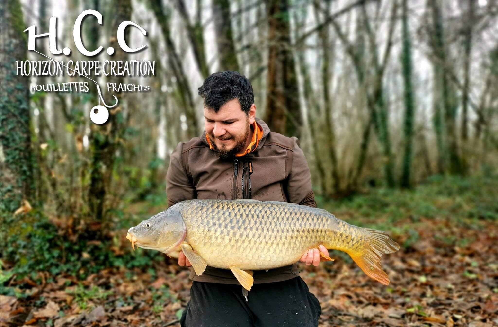 MICKAEL LAURENT - TESTEUR HCC
