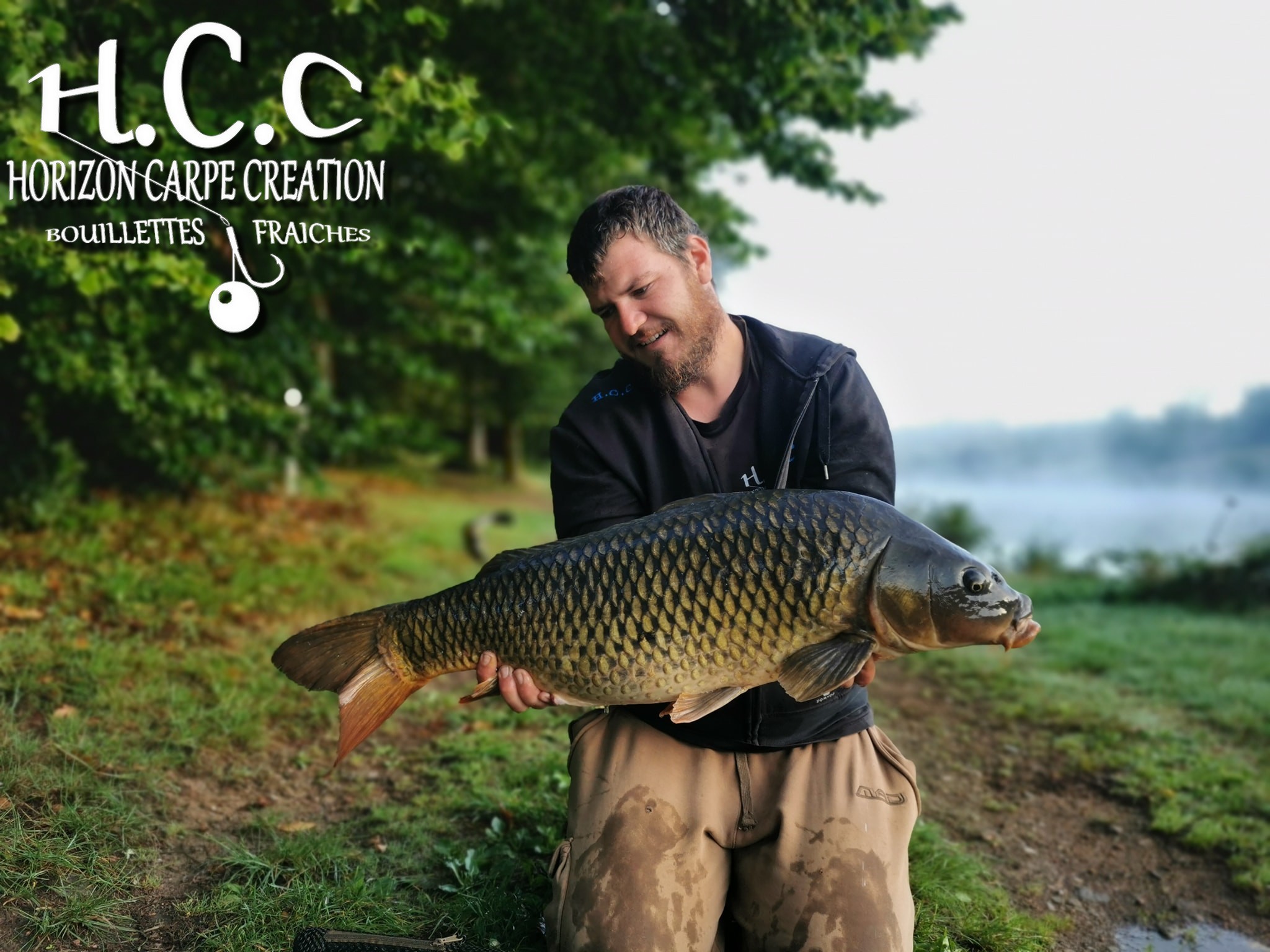 MICKAËL LAURENT - TESTEUR HCC