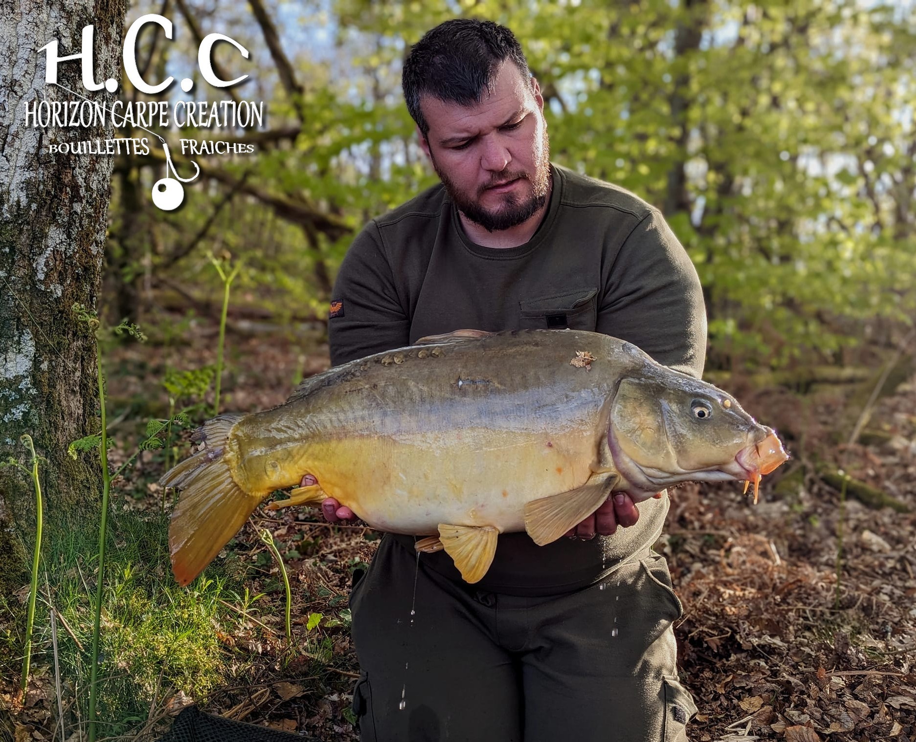MICKAEL LAURENT - TESTEUR HCC