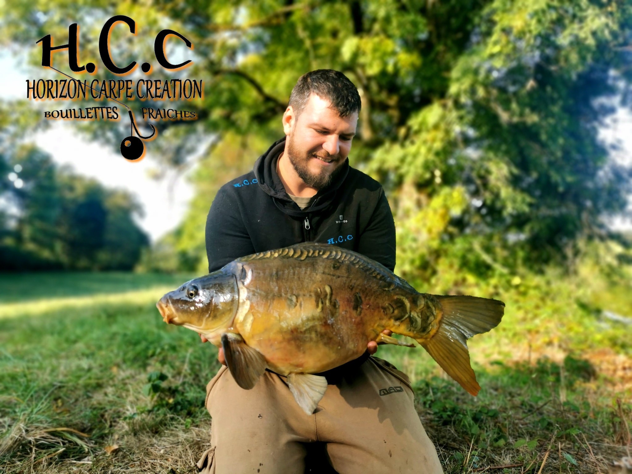 MICKAEL LAURENT - TESTEUR HCC