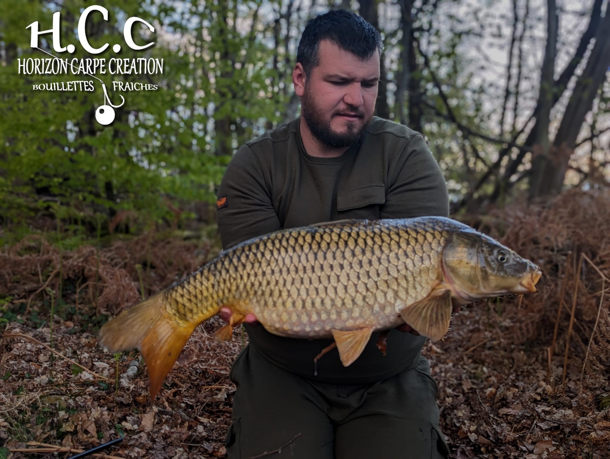 MICKAEL LAURENT - TESTEUR HCC