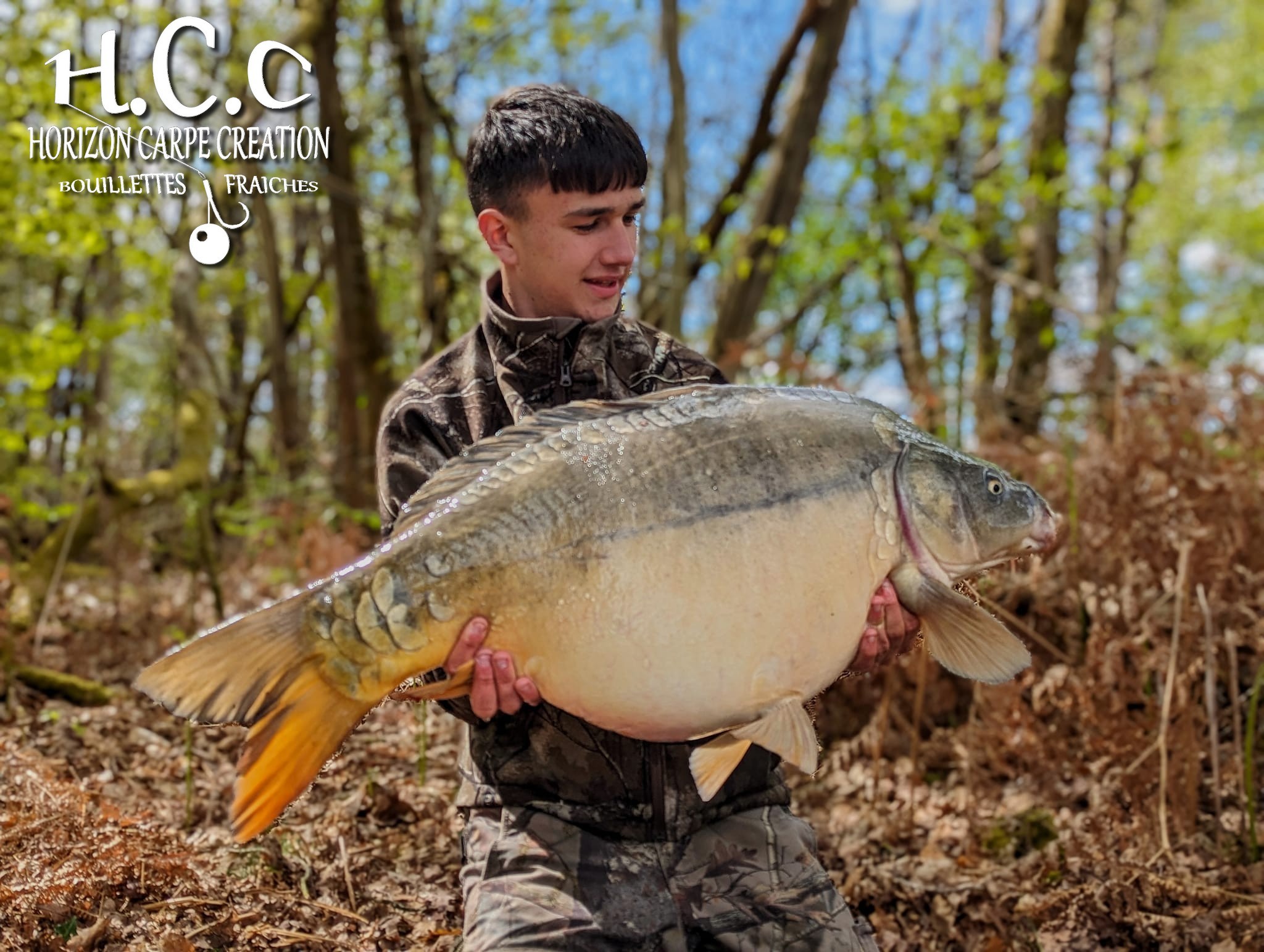 MICKAEL LAURENT - TESTEUR HCC
