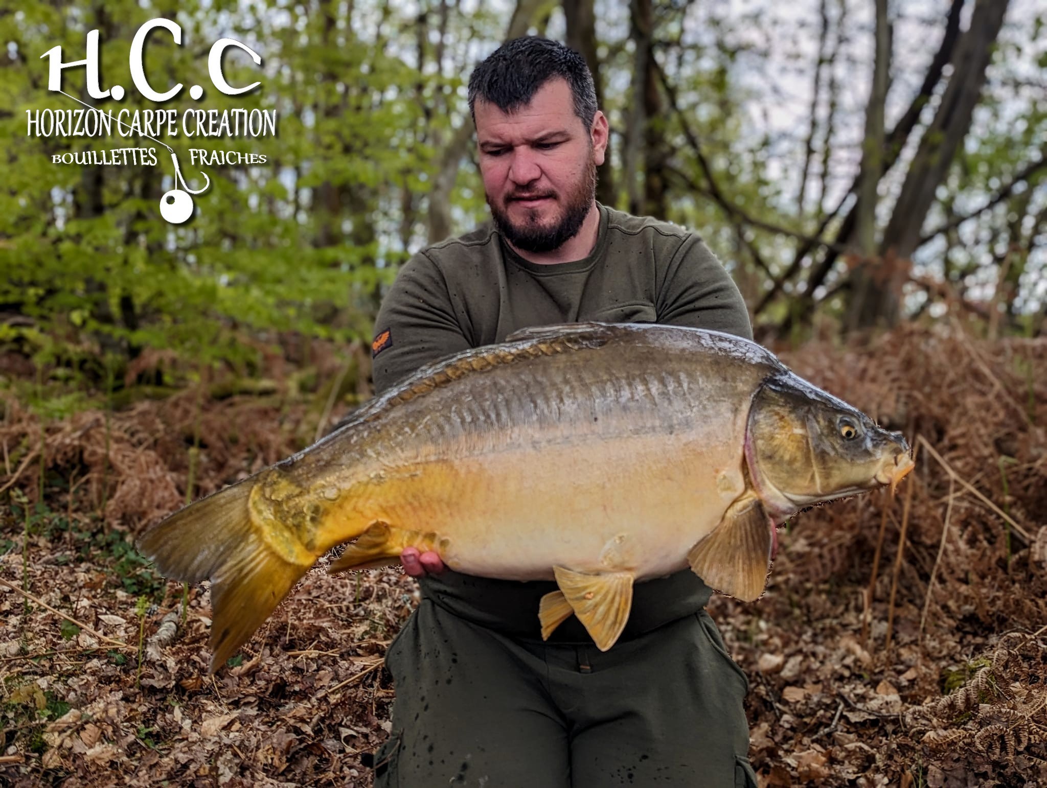 MICKAEL LAURENT - TESTEUR HCC