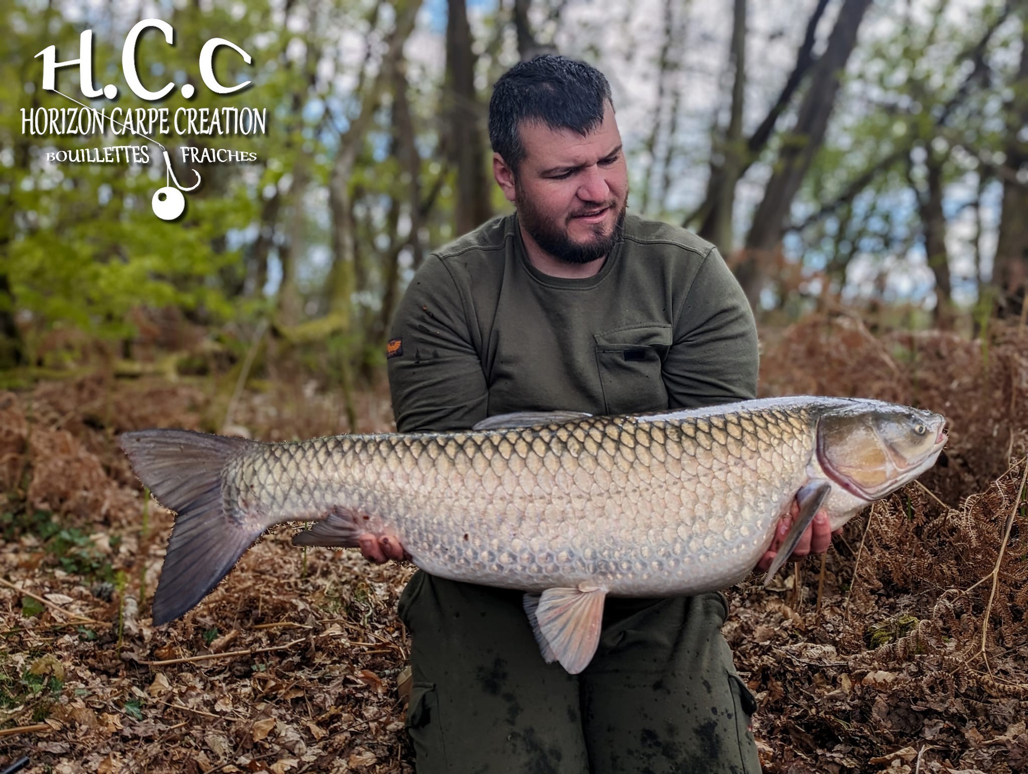 MICKAEL LAURENT - TESTEUR HCC