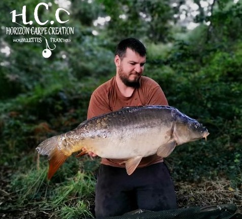 MICKAEL LAURENT - TESTEUR HCC