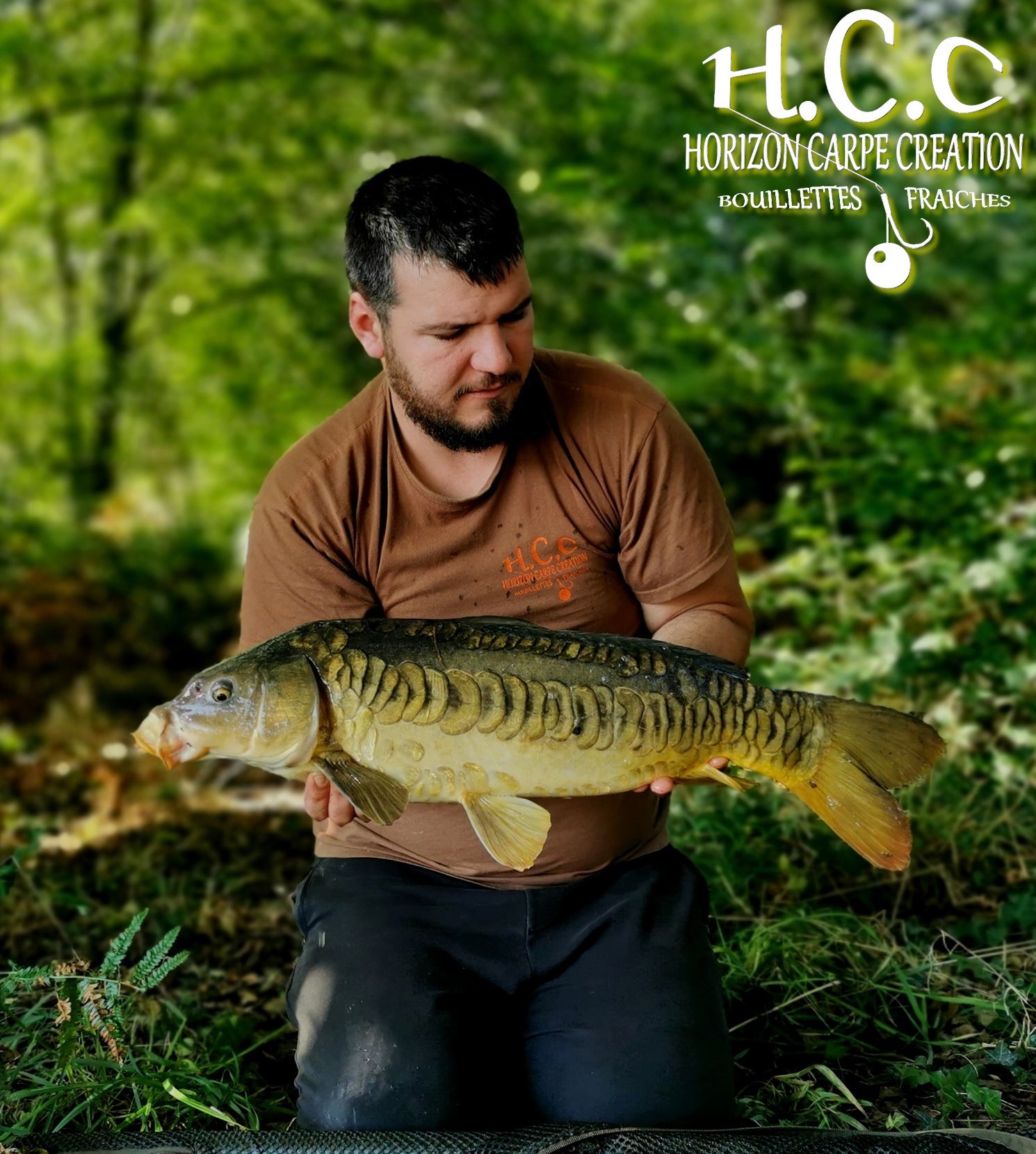 MICKAEL LAURENT - TESTEUR HCC