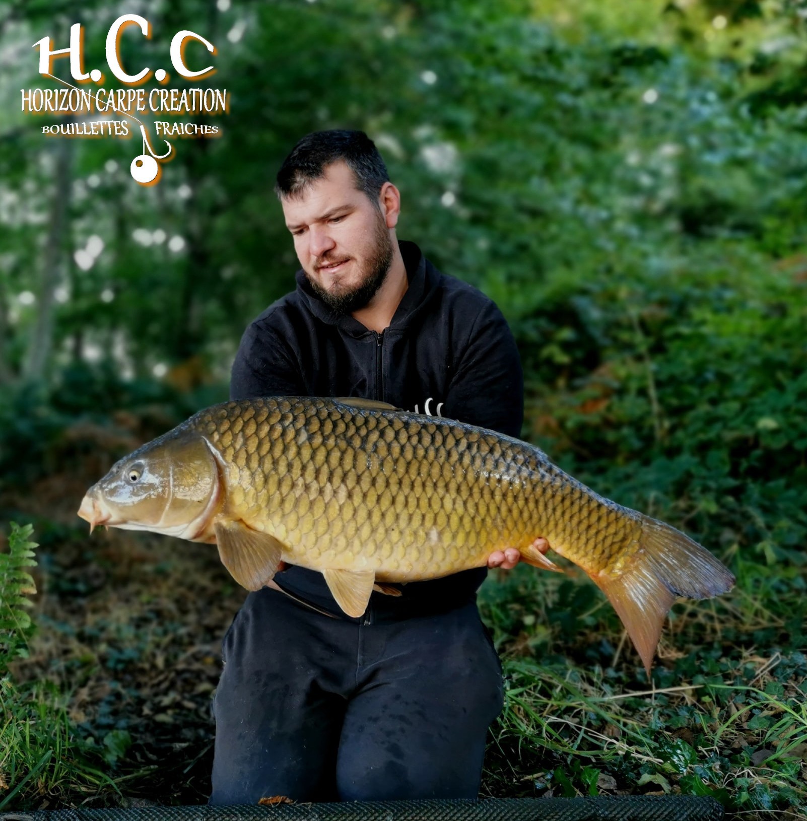 MICKAEL LAURENT - TESTEUR HCC