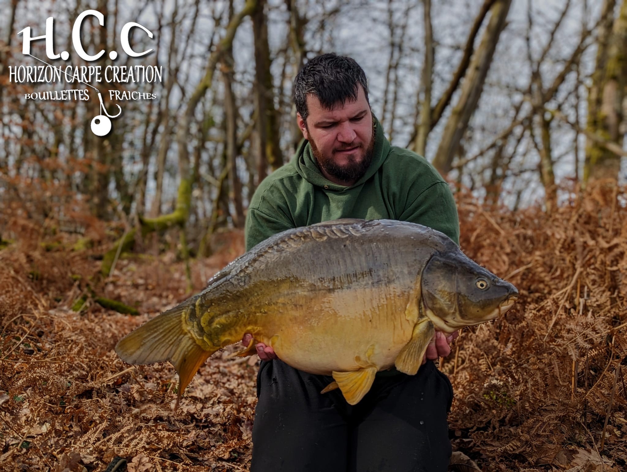 MICKAEL LAURENT - TESTEUR HCC