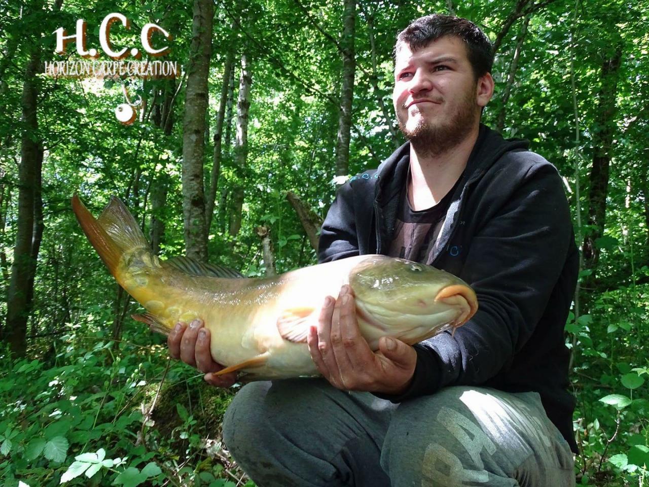 MICKAEL LAURENT - TESTEUR HCC