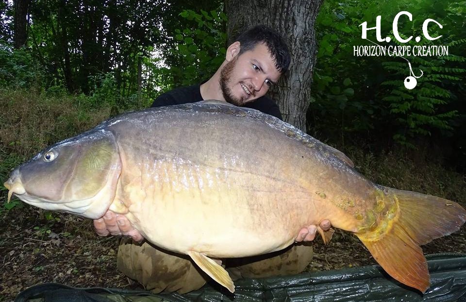MICKAEL LAURENT - TESTEUR HCC